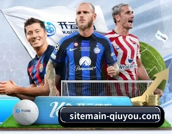 sitemain-qiuyou.com的故事
