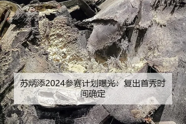 苏炳添2024参赛计划曝光：复出首秀时间确定