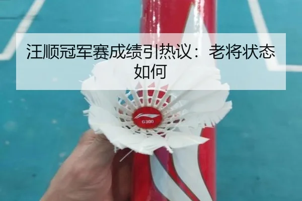 汪顺冠军赛成绩引热议：老将状态如何